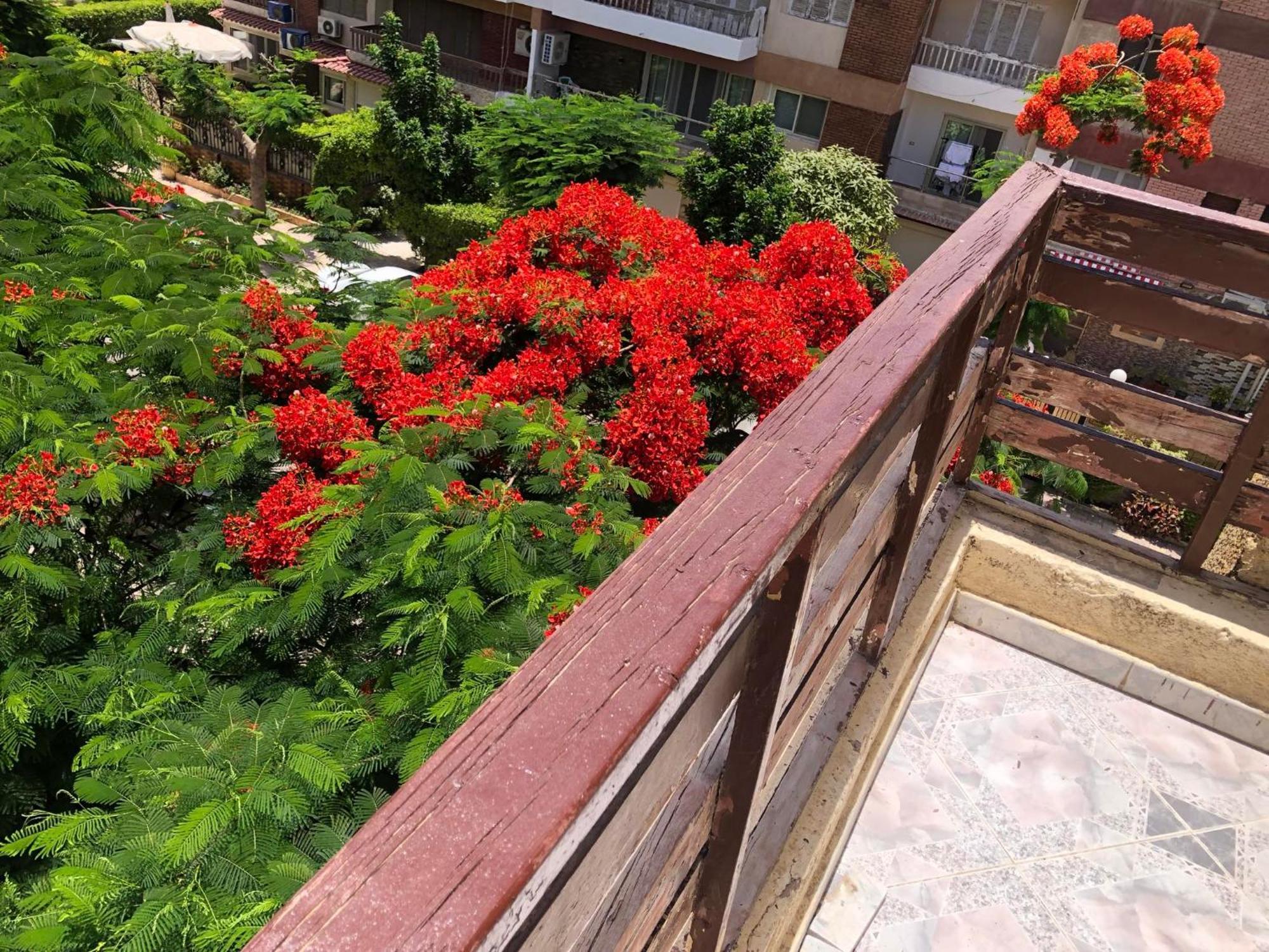 Apartment المعمورة الشاطئ - Mamoura Alexandria